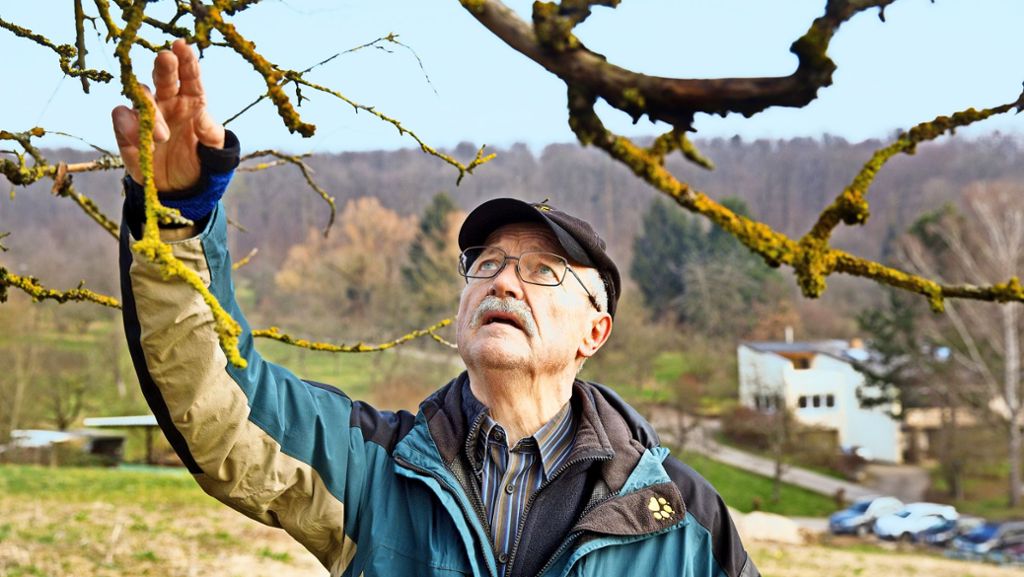  Alte Männer pflegen alte Bäume – so lässt sich das Geschehen auf den Obstwiesen im Land zugespitzt beschreiben. Mit seinen Streuobstpflegetagen will der baden-württembergische Landesverband für Obstbau, Garten und Landschaft (LOGL) gegensteuern. 