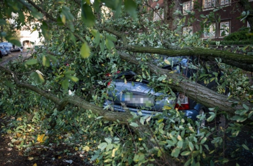 Ein umgestürzter Baum liegt auf mehreren Autos in einer Straße in Hamburg.