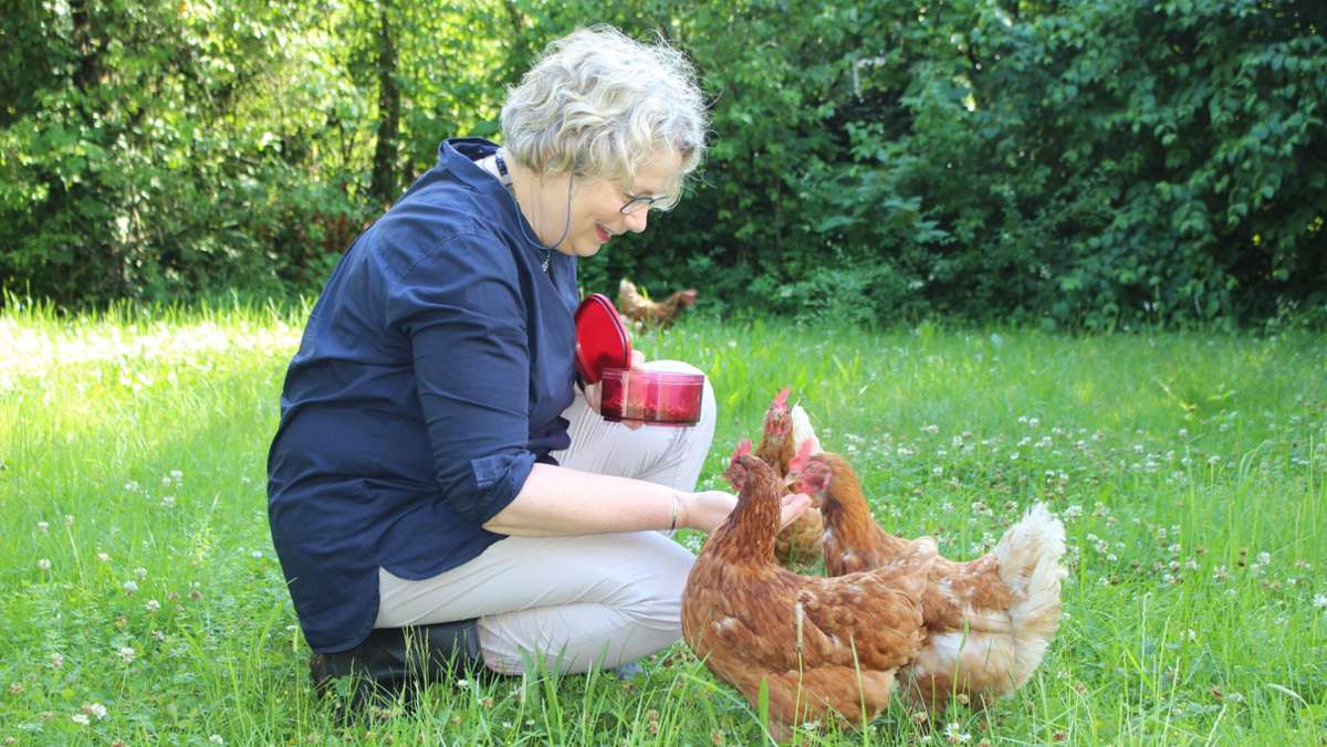 Hühner-Rettung in Stuttgart-Degerloch: Statt in den Suppentopf geht es ins Grüne