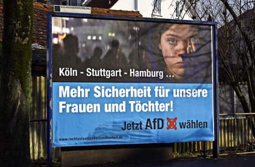 Mit solchen Plakaten warben Unterstützer im Landtagswahlkampf 2016 für die AfD, hier in Göppingen. Foto: picture alliance / dpa/Daniel Maurer