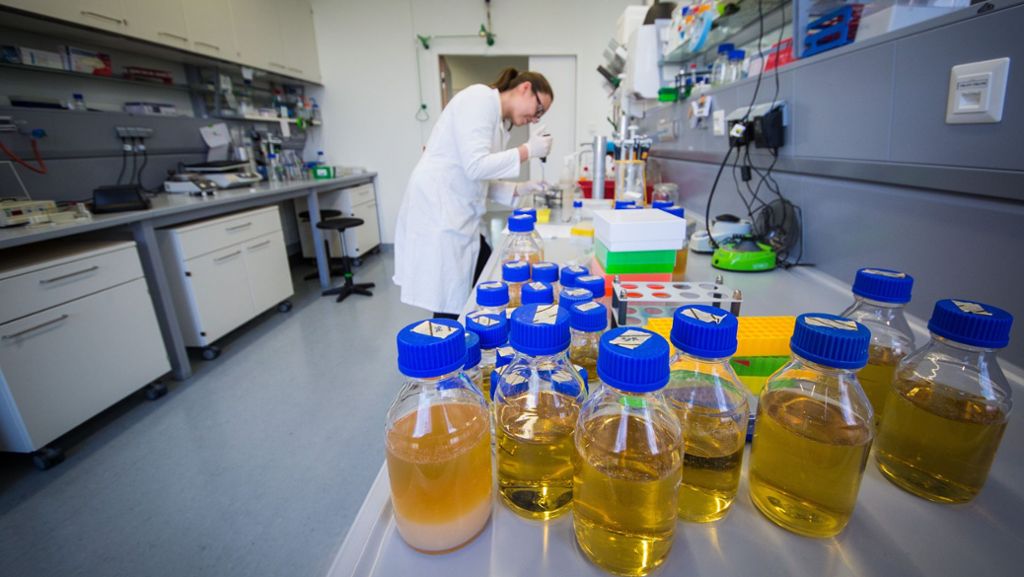 Universität Stuttgart: Neubau soll Studierende der Biochemie beflügeln
