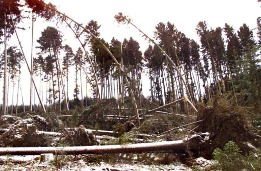 Zahlreiche entwurzelte Bäume liegen am 27. Dezember 1999 in einem Waldstück bei Villingen-Schwenningen (Schwarzwald-Baar-Kreis). Am zweiten Weihnachtsfeiertag fegte das Orkantief "Lothar" über Mitteleuropa hinweg und richtete schwere Verwüstungen an.