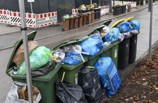 In vielen Straßen im Kreis Ludwigsburg sieht es so aus. Die Mülltonnen quellen über. Die neu engagierte Müllfirma kommt mit den Leerungen nicht nach. Foto: Horst Dömötör/Horst Dömötör
