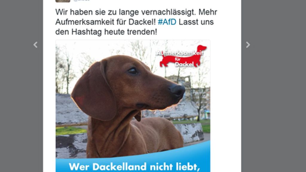  Während der AfD-Parteitag in Stuttgart läuft, setzt die Twitter-Gemeinde einen Trend gegen den Hashtag #AfD und fordert „Aufmerksamkeit für Dackel“. 