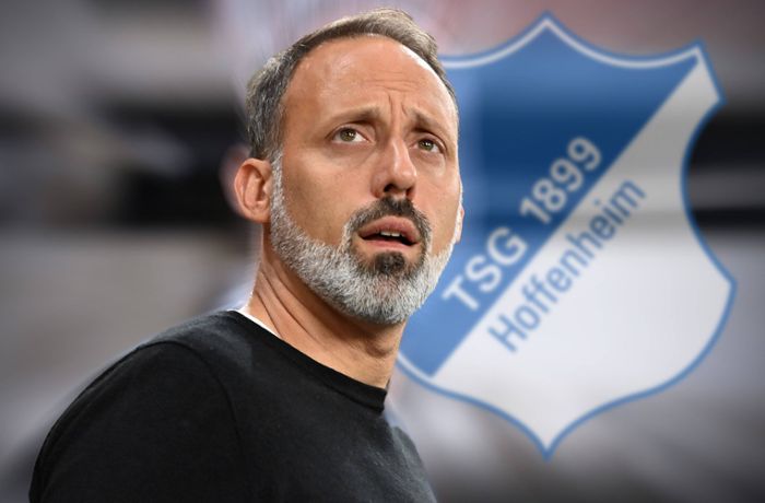 Ex-Trainer des VfB Stuttgart: Matarazzo wird Breitenreiters Nachfolger in Hoffenheim