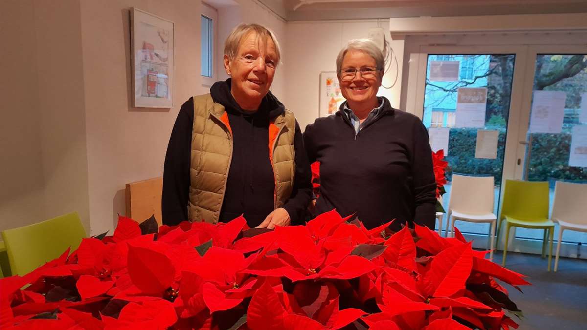 Ehrenamt in Warmbronn: Senioren erhalten 170 Weihnachtssterne