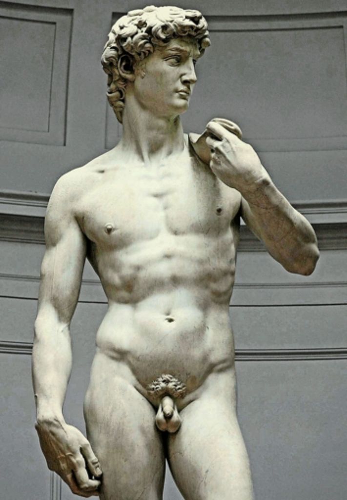 Auch Michelangelos David-Statue in Florenz zeigt nach Ansicht von Horst Bredekamp eine leichte und durchaus ansehnliche Asymmetrie: Hand und Kopf sind im Vergleich zum Rest des Körpers zu groß geraten.