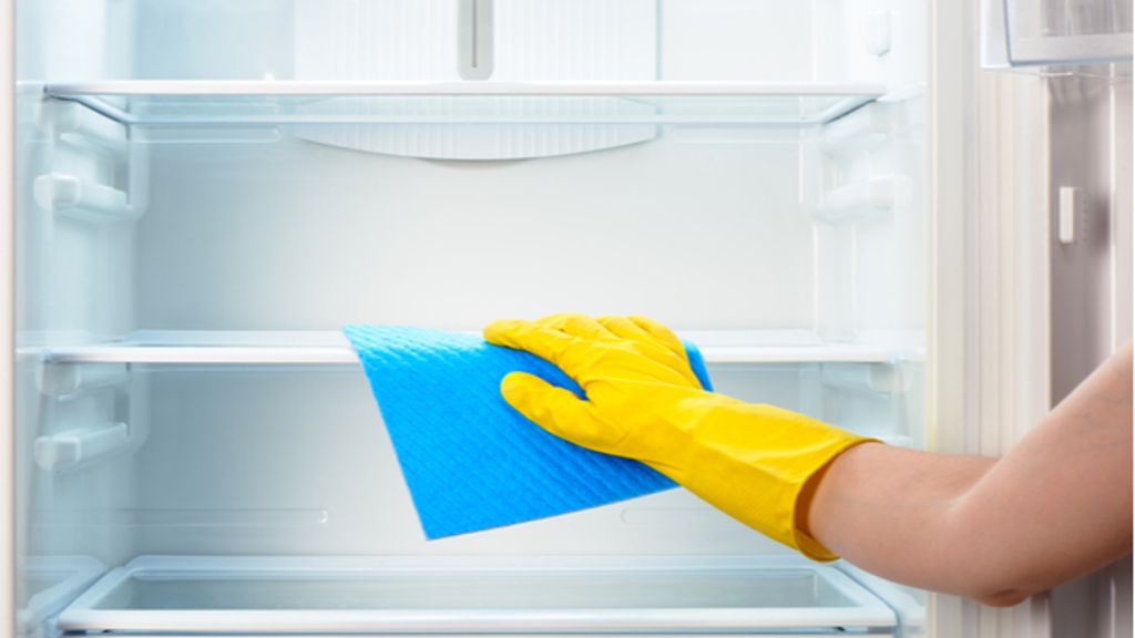 Mit dieser Anleitung glänzt Ihr Kühlschrank wieder. Foto:  shutterstock / Andrew Rafalsky
