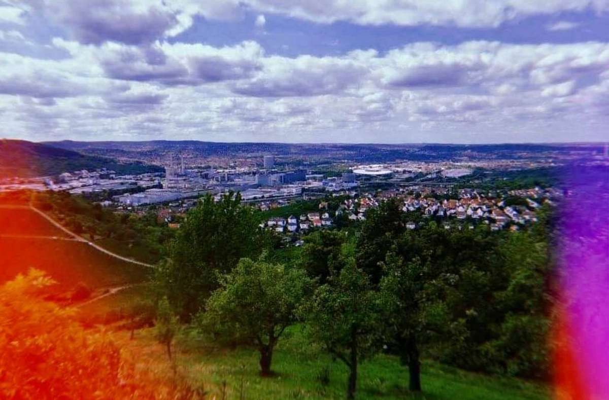 Ausgecheckt in Untertürkheim: Vegane Snacks, Alpakas und Aussicht - Vimarsana News