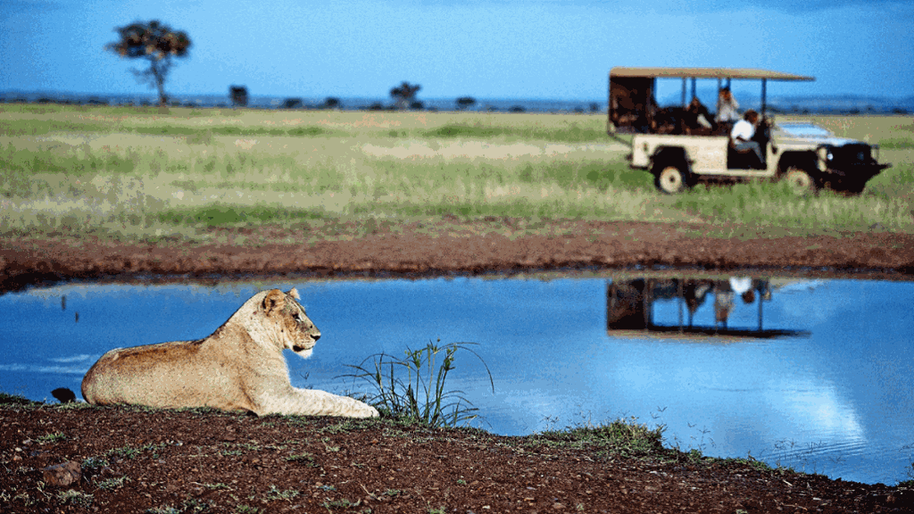 Tansania: Vom Wilderer zum Konditor