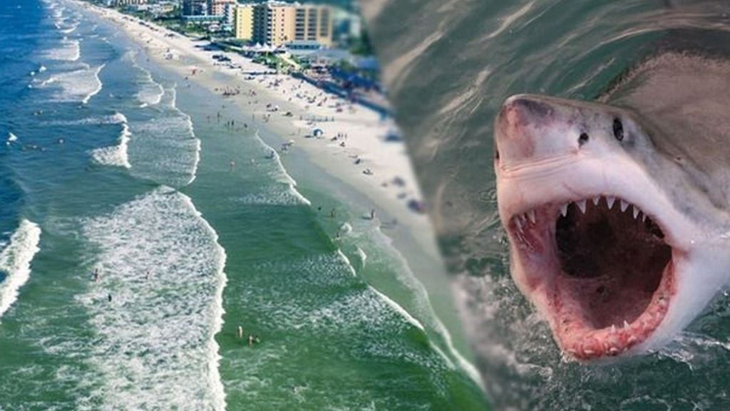 Drei Hai-Angriffe in 24 Stunden: Das ist der gefährlichste Strand der Welt