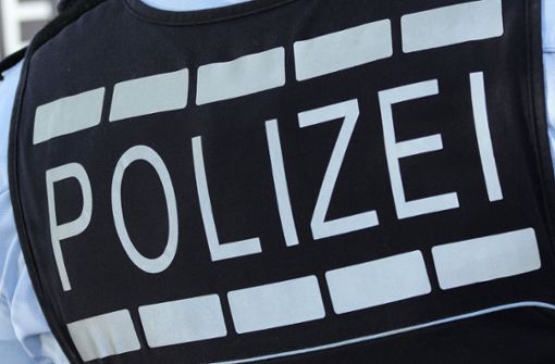 Polizisten in voller Montur sind im Leonberger Stadtzentrum unterwegs. Foto: dpa/Silas Stein