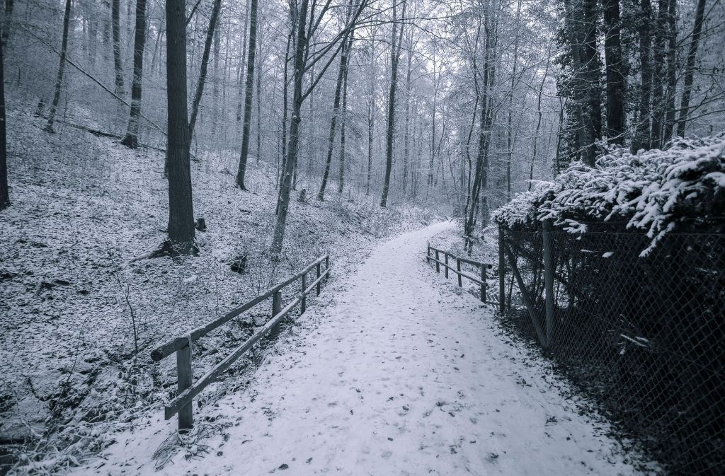 Erst am Samstag lässt das Sturmtief nach und einem Spaziergang im Winterwald – wie hier in Hedelfingen – steht nichts mehr im Weg.