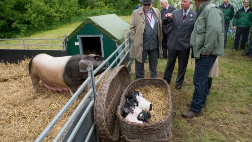 Baden-Württemberg: Prinz Charles im Südwesten: Königlicher Spaß am Schweinegatter
