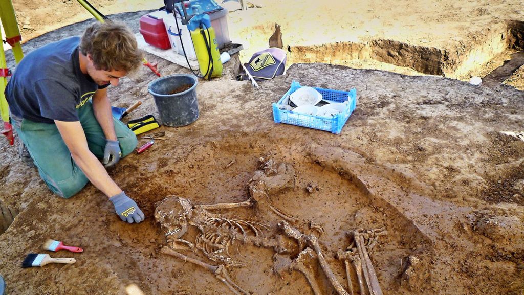  Archäologen haben 23 Gräber der Schnurkeramikzeit freigelegt – es ist nach Tauberbischofsheim das zweitgrößte Gräberfeld im Land. Und Überraschungsfunde aus der Bronzezeit gab es auch noch. 