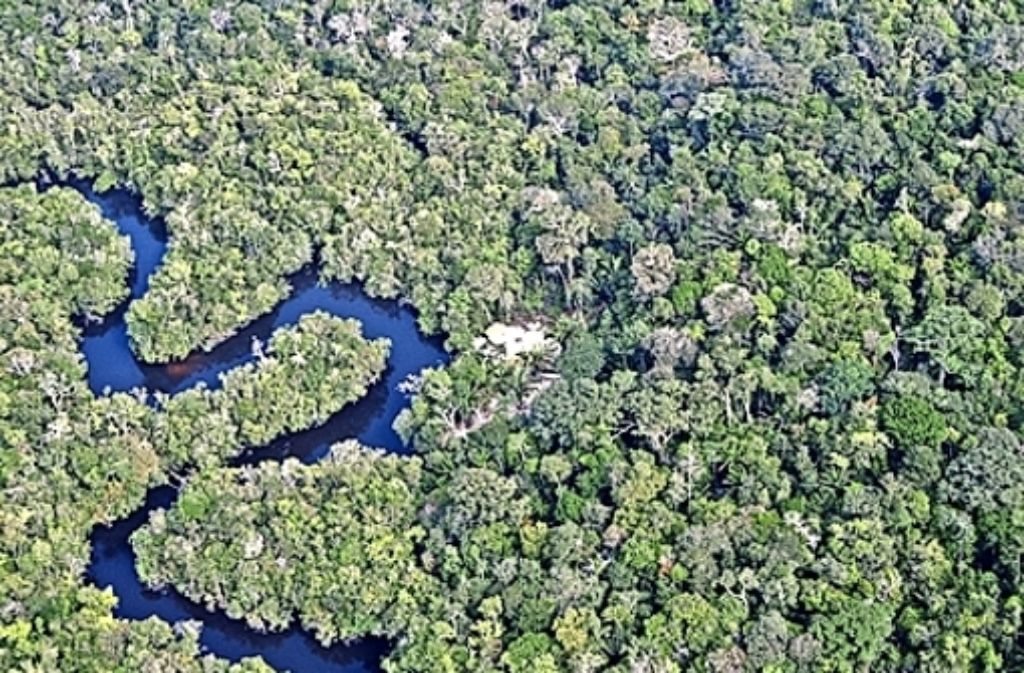 Deutsche und brasilianische Forscher untersuchen, wie viele Treibhausgase der Amazonas-Regenwald aufnimmt und abgibt. In einer Bildergalerie zeigen wir Messtürme, die bereits in Betrieb sind.