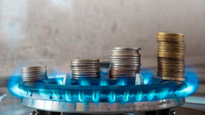 Vorschaubild zum Artikel Gaspreis ohne Steuern